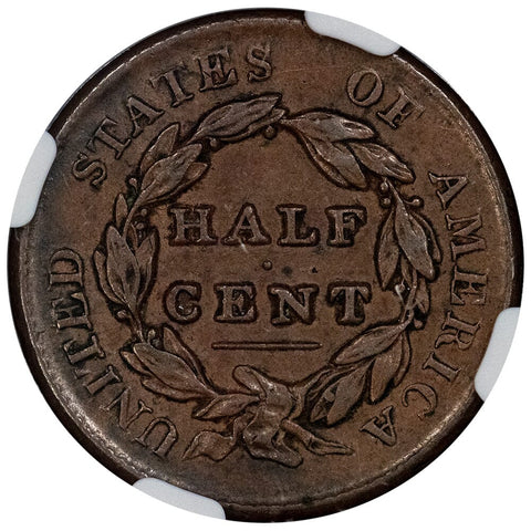 1829 Classic Head Half Cent - Cohen 1 - NGC XF 45 - Choice Extremely Fine