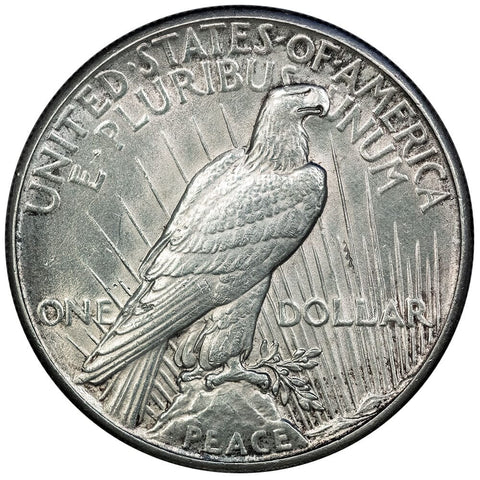 1928 Peace Dollar - About Uncirculated Detail