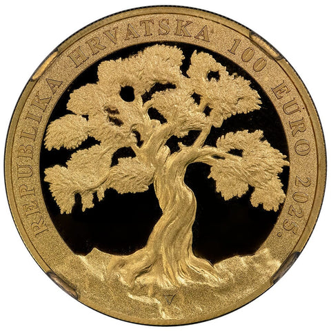 2025 Croatia Tomislav 100€ 1 oz Net Pure Gold Coin - NGC PF 70 UCAM - Mintage: 300