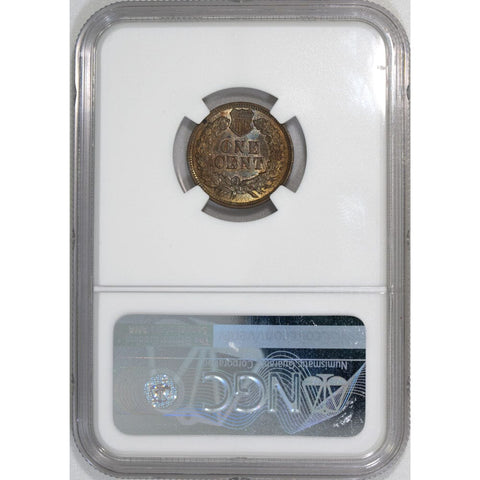 1899 Indian Head Cent - NGC MS 66 BN CAC - Gem Brilliant Uncirculated