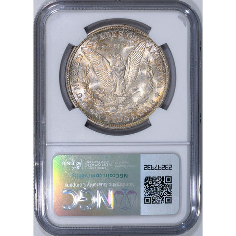 1921-D  Morgan Dollar - NGC MS 61 - Brilliant Uncirculated