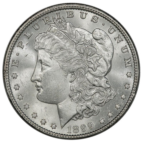 1899 Morgan Dollar - Choice Brilliant Uncirculated