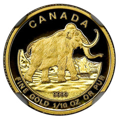 2014 Canada $5 10th Ounce Gold Woolly Mammoth - NGC PF 70