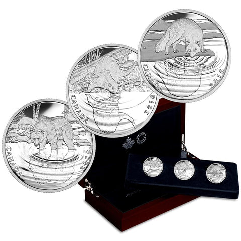 2016 Canada $10 Reflections of Wildlife: Grizzly 1/2 oz Silver Coins 3-Coin Set
