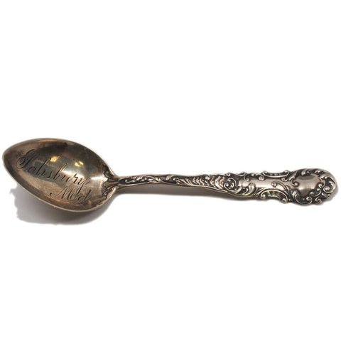 Salisbury M.D. Souvenir Spoon