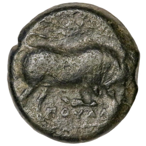 Ancient Greek, Apulia, Arpi c. 275-250 BC AE19 5.0 g - Fine