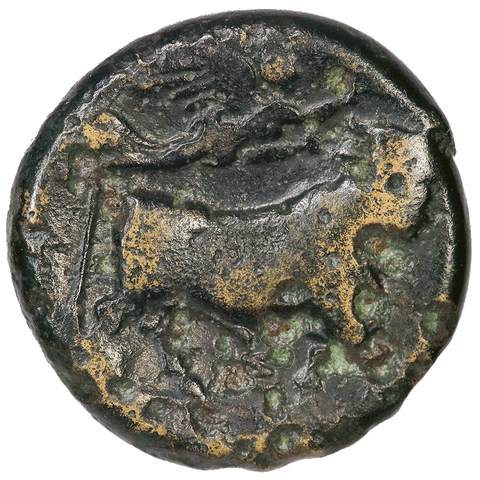 Ancient Greek - Campania, Neapolis AE 19, c. 320-280 BC, Fine