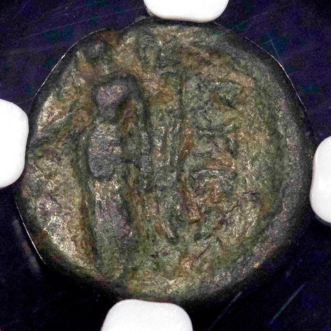 Ancient Greek - Apulia, Rubi AE11 c. 300-225 BC ~ NGC Choice Fine