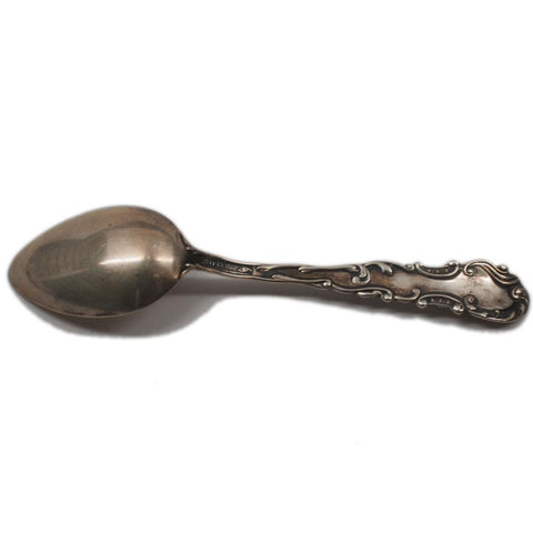 Salisbury M.D. Souvenir Spoon