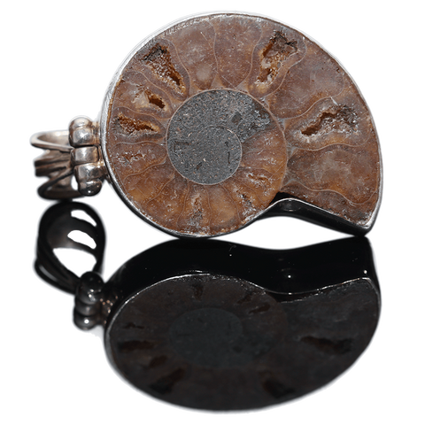 Ammonite Natural Fossil Sterling Silver Pendant