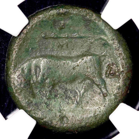 Ancient Greek - Sicily, Syracuse Hieron II AE 19 274-216 BC ~ NGC VG