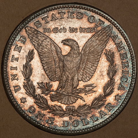 Pretty 1881-S Morgan Dollar in Vintage "Tidy House/Omaha Coins" - Choice Toned Uncirculated